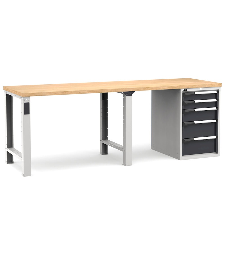 [MASTERWR2531] Banco con 5 cassetti 2x100 1x150 2x200 Master – H 890 mm – 2500 × 750 × 890 mm, Grigio chiaro + Grigio antracite (RAL 7035+7016)