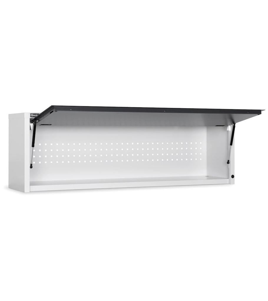 FBL8010X000PD 01