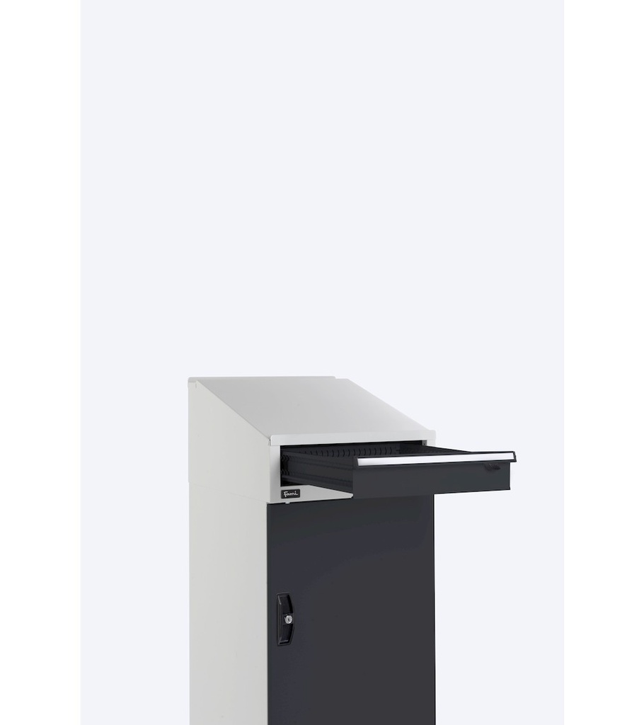 Armadio con porta a battente con leggio Perfom – H 1409 mm – Grigio chiaro + Grigio antracite (RAL 7035+7016) – foto 5