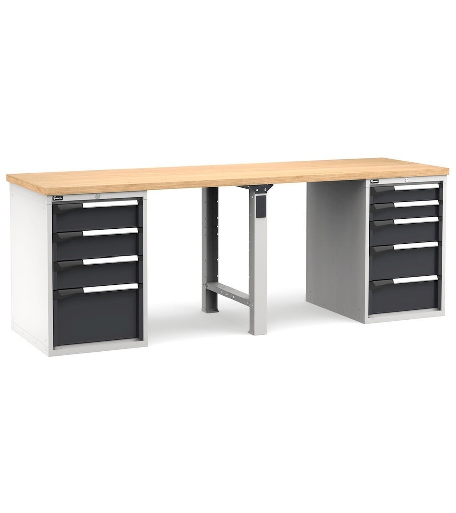 [MASTERWR2555] Banco con 9 cassetti 2x100 4x150 2x200 1x300 Work Master – H 890 mm – 2500 × 750 × 890 mm, Grigio chiaro + Grigio antracite (RAL 7035+7016)