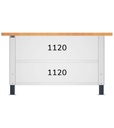 Banco Work Master BR regolabile smontato, piano in multiplex 40 mm – 1500 × 750 × 740/1065 mm – foto 2