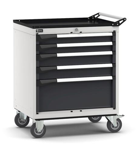 Armoire à tiroirs sur roues avec 5 tiroirs 2x75 2x100 1x250 Master – H 922 mm