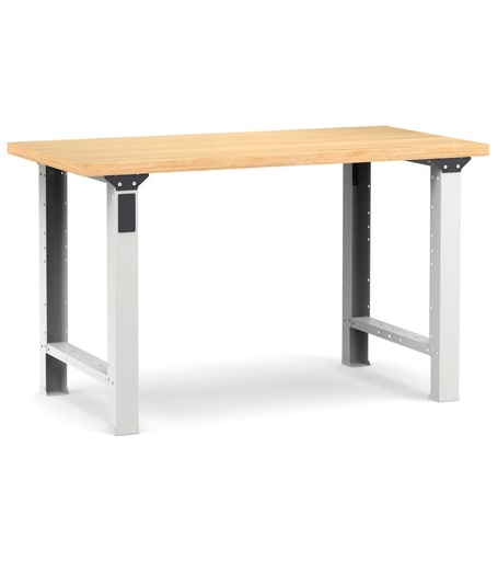 Work Master fixed-height workbench