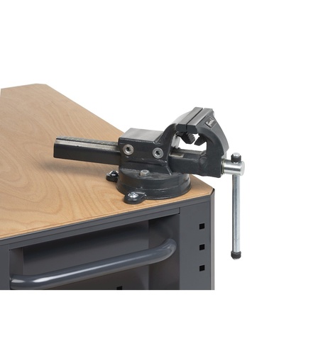 Étau pour chariot d'atelier Linea 391, mâchoire L 100, ouverture 125 mm