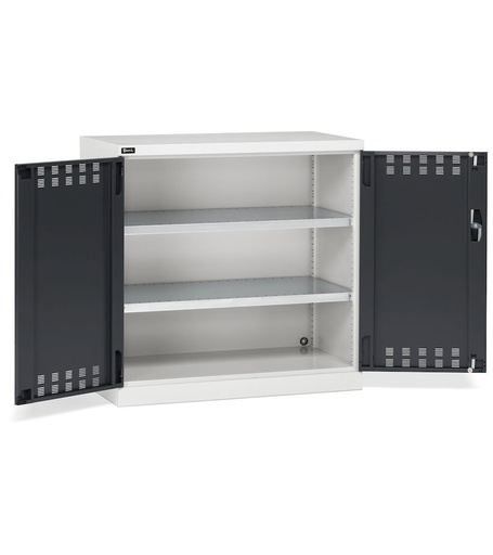 Armario con puertas batientes ranuradas, 2 estantes ranurados – 1023 × 555 × 1000 mm