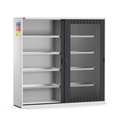 Armadio per sostanze pericolose con ante scorrevoli in policarbonato, L2040 x P600 x H2000 mm, RAL 7035 + 7016